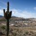 The Desert Sun Shines on IndyCar Again as the Series is Heading to Phoenix Raceway this Weekend